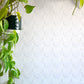Scoop white flock on white velvet textured wallpaper
